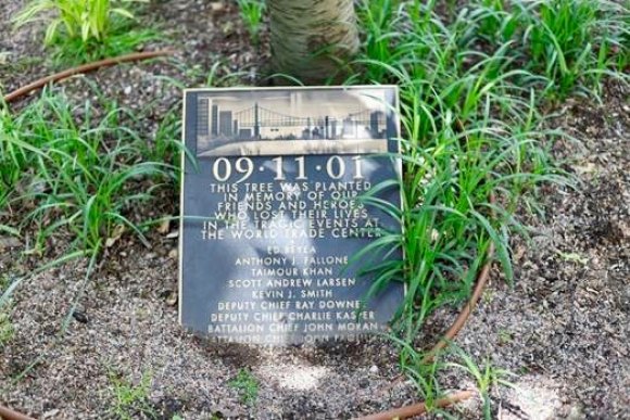 You're Invited for a Quiet Moment at the Survivors Tree, Today, September 11th You're Invited for a Quiet Moment at the Survivors Tree, Today, September 11th
